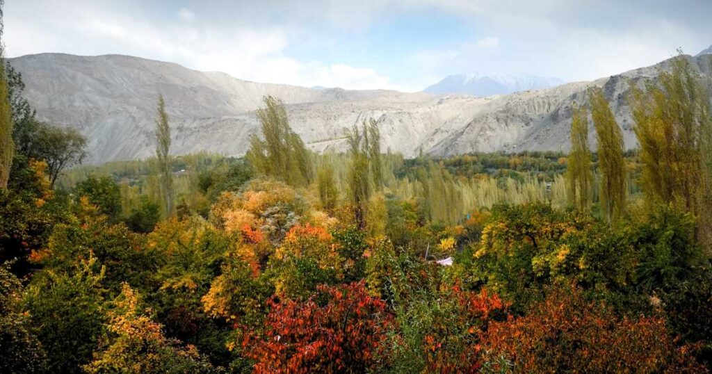 Autumn Scene in Shigar, Skardu, Baltistan, Pakistan.