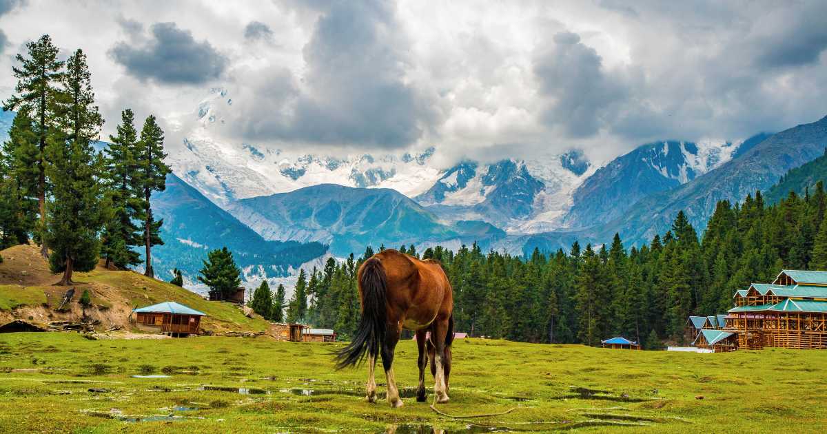 Fairy Meadows, Nanga Parbat Pakistan