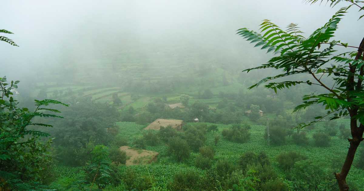 MIANDAM foggy weather