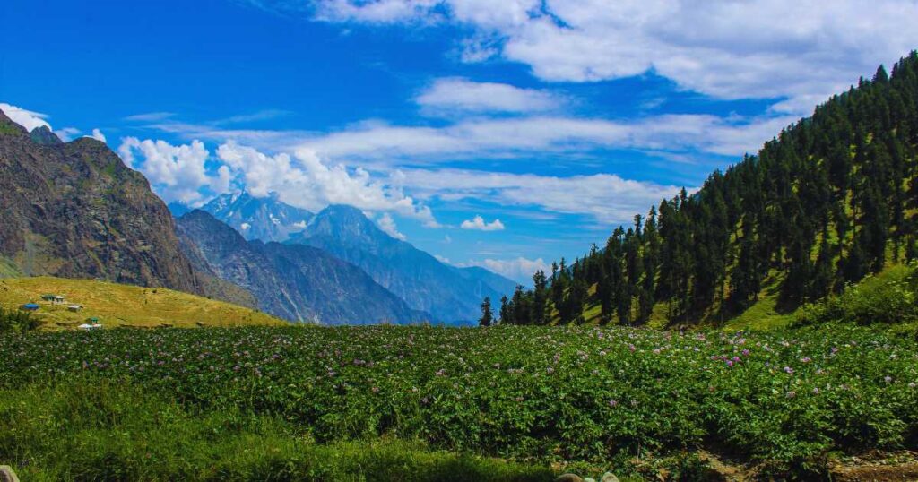 Naltar Valley Pakistan