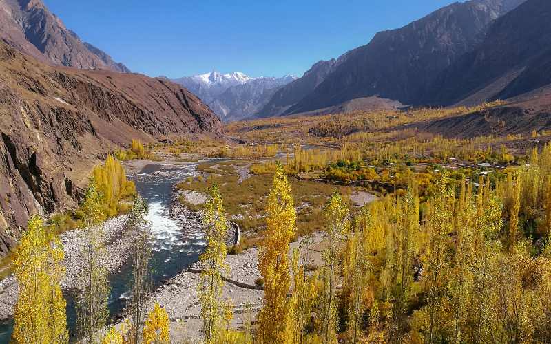 Nature Landscape View of Gupis Valley in Autumn, Ghizer. Forest and River Surrounded by Mountains. Gilgit Baltistan, Pakistan.