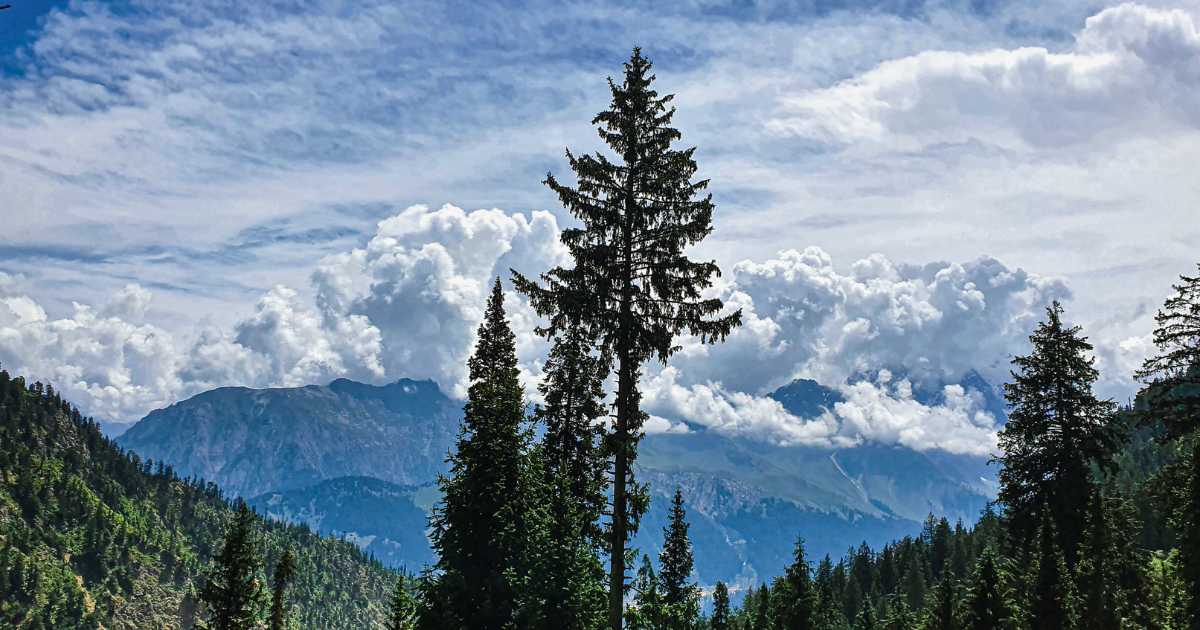 Tree at top of The Desan Meadows Mountain in Clouds Kalam Valley. Travel, outdoor activities, camping