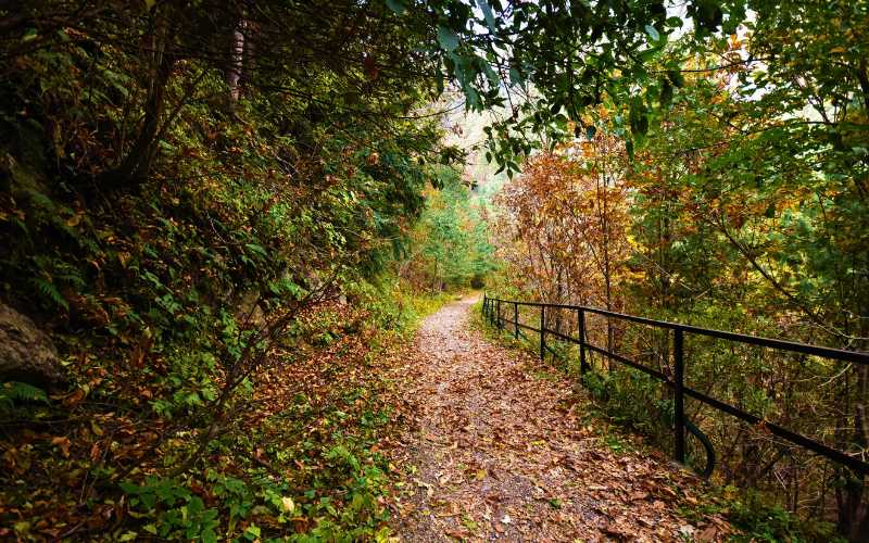 Ayubia National Park Pipeline Track