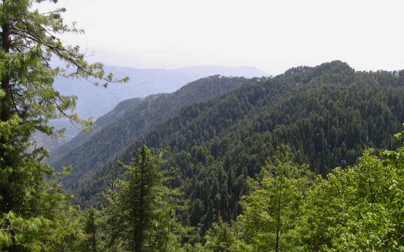 Ayubia National Park a view of hills and trees in daylight.