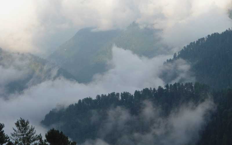 Ayubia National Park mountains full of trees and clouds on them