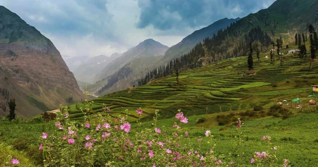 Lalazar Meadows Kaghan Valley Pakistan