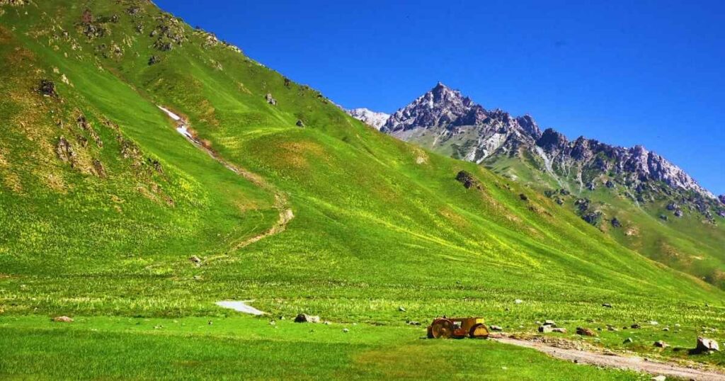 Minimarg