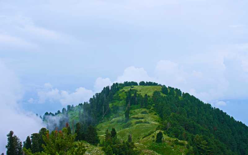 Nathiagali_Mushkpuri_summit_seen_from_the_picnic_area.