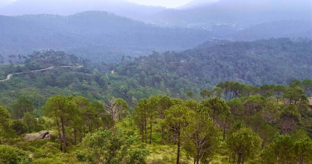 Natural Scene of Bagh Rawalakot