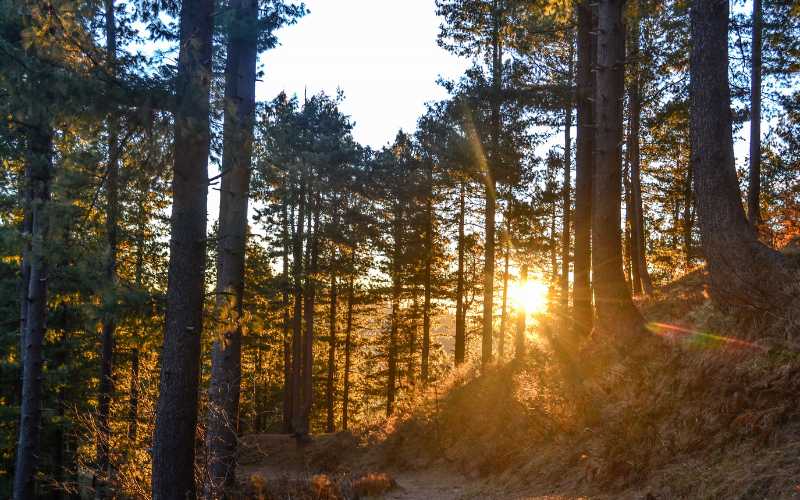 Sunset_at_Miranjani_(Miranjani,_Nathiagali)