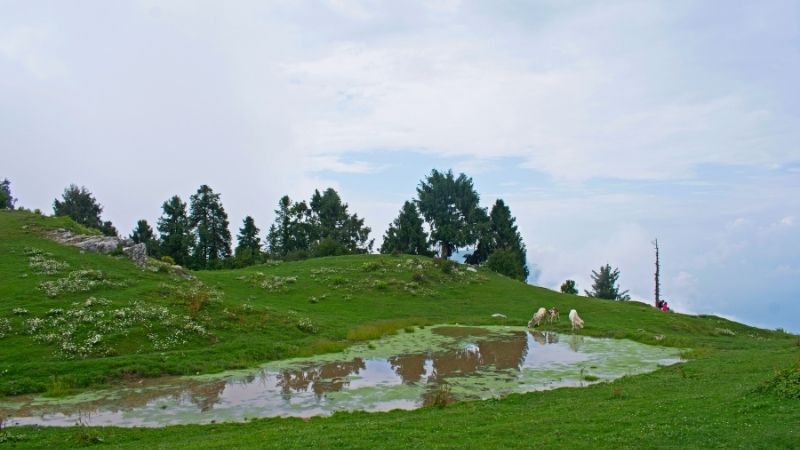 Dunga Gali top of the hill, near Nathia Gali