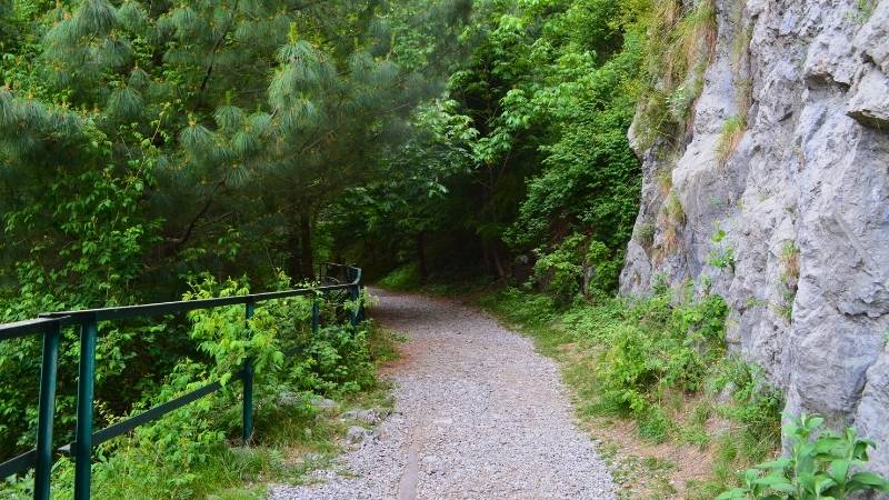 beautiful Pipeline Track, Dunga Gali, KPK, Pakistan.