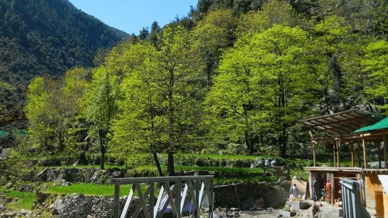 beautiful greenery in Bahrain, swat valley, Pakistan