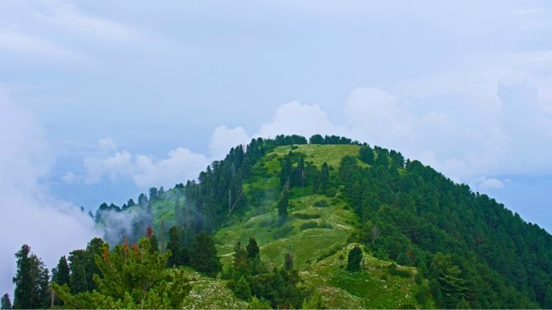 nathia gali top of the hills, Mukeshpuri